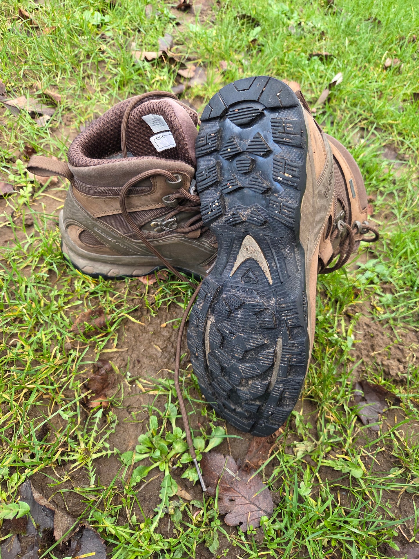 Salomon Quest 4D