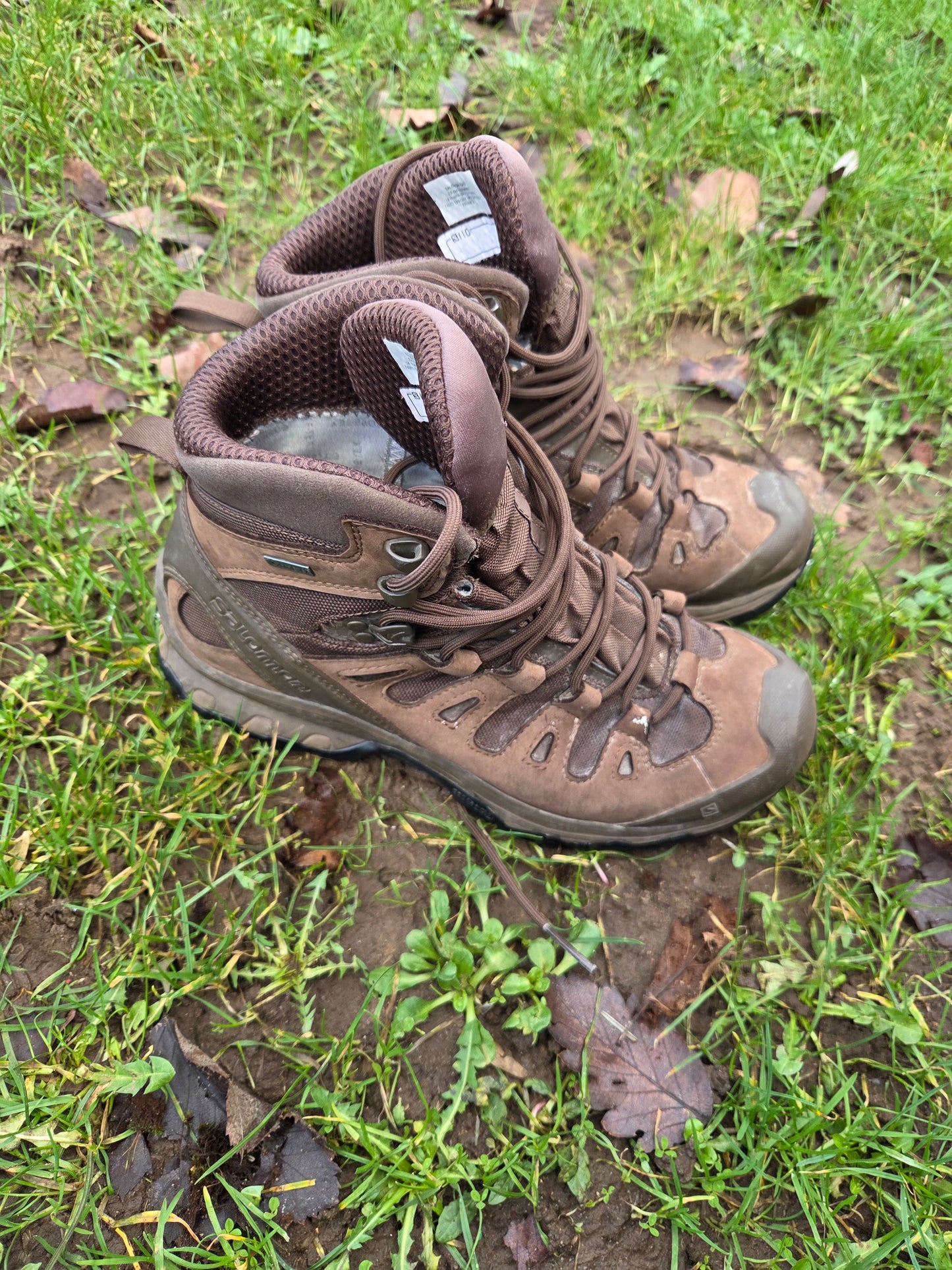 Salomon Quest 4D